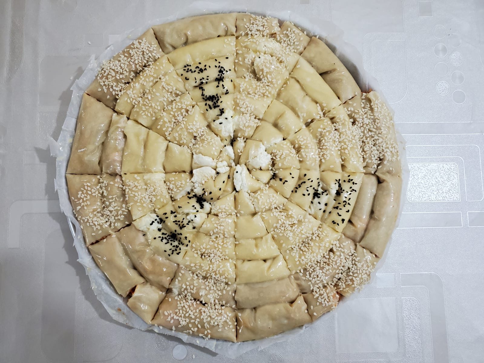שבלול בורקס שבלול בורקס