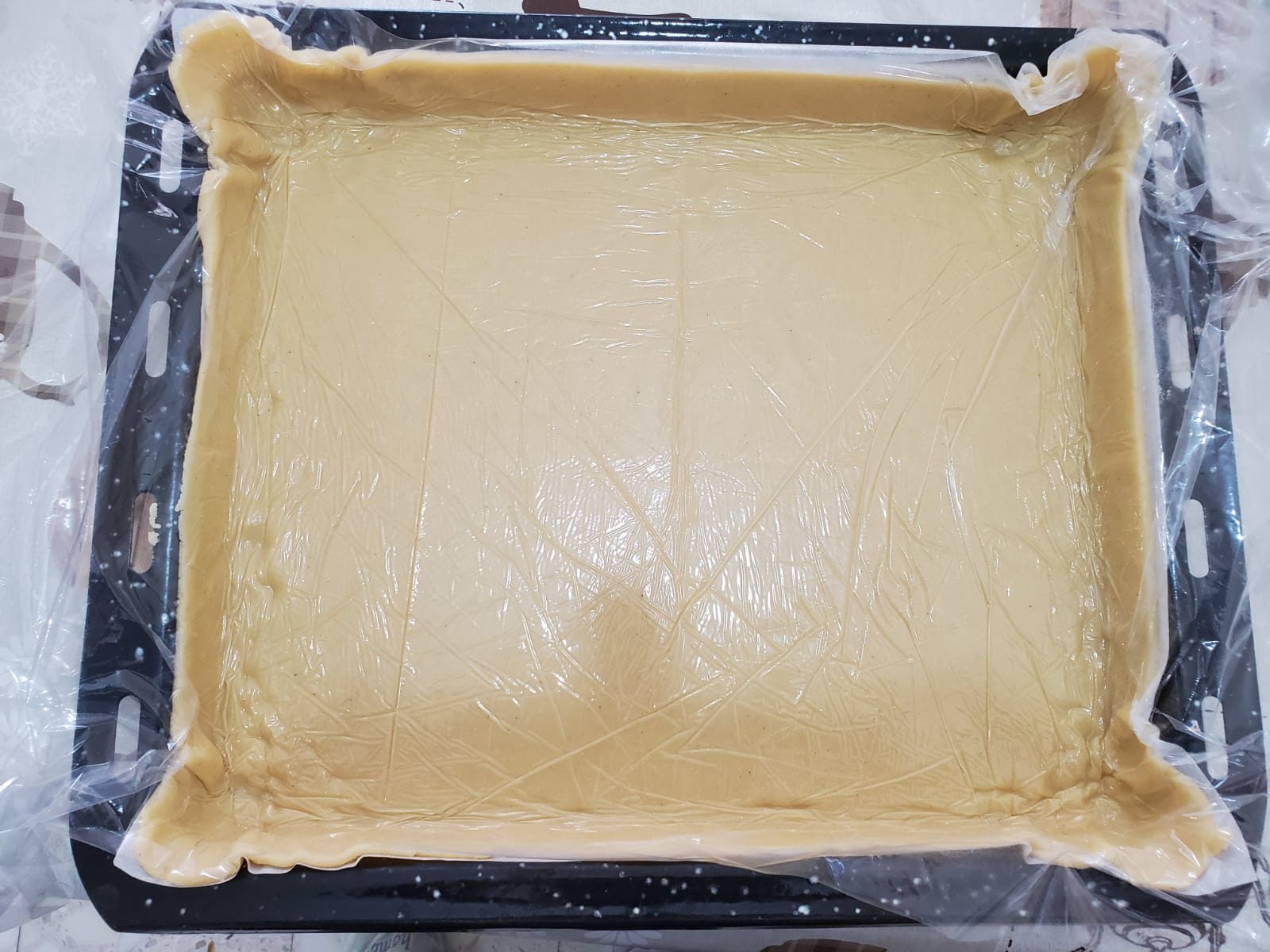 חיתוכיות זברה