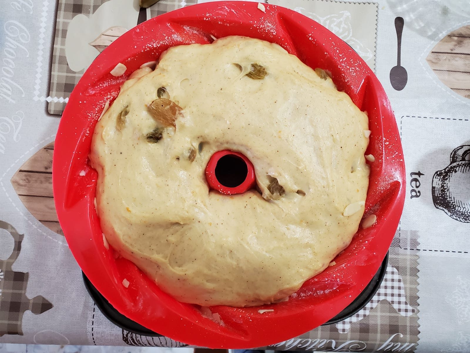 קוגלהוף קוגלהוף
